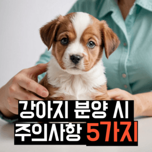 강아지분양 주의사항