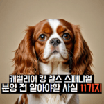 캐벌리어 킹 찰스 스패니얼 