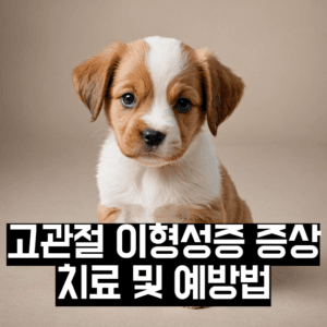 고관절 이형성증