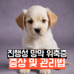 진행성 망막 위축증