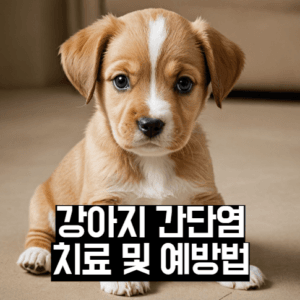 강아지 간단염