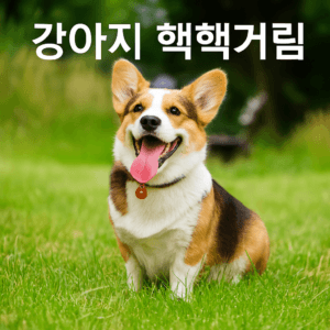 강아지 헥헥거림